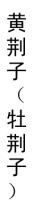 1016 (1).png